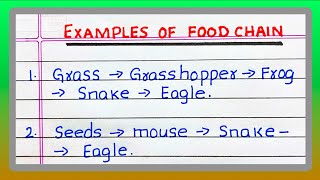 Examples of FOOD CHAIN  5  Five Examples of FOOD CHAIN [upl. by Enyaht981]