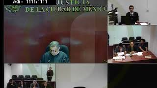 AUDIENCIA DE JUICIO MATERIA PENAL [upl. by Amedeo296]