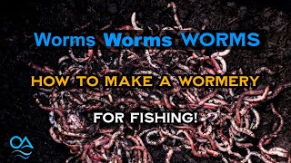 Making a wormery and keeping worms for fishing  Perch Chub Barbel Carp fishing [upl. by Otineb]