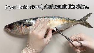 Shocking Parasites Discovered During Mackerel Dissection [upl. by Dnomasor]