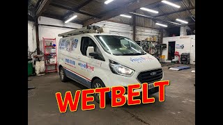 Ford Transit 20 Ecoblue wet timing belt replacement FULL GUIDE [upl. by Thera]