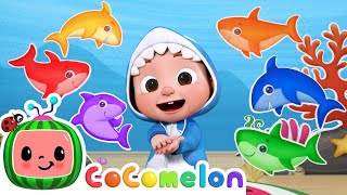 Baby Shark Learns Colors  CoComelon Nursery Rhymes amp Kids Songs [upl. by Lhadnek]