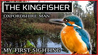 Next Video  Kingfisher Photography [upl. by Yot]