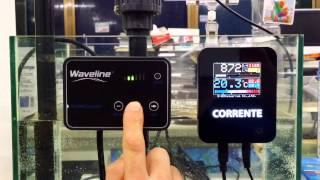 Aquarium goods PRS Corrente Digital flow meter  PRS コッレテ デジタル流量計 [upl. by Zsamot719]