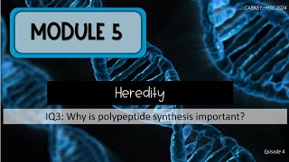 Module 5 Episode 4 Polypeptide Synthesis and Proteins [upl. by Atilemrac]