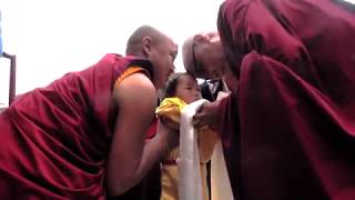 Tenga Rinpoches Yangsi Rinpoche at Benchen monastery [upl. by Akimak]