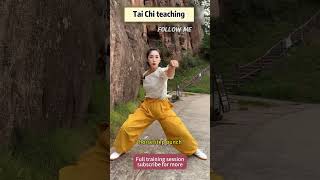 TaiChi practice🥋🤛Follow me taichi martialarts kungfu [upl. by Massimo376]