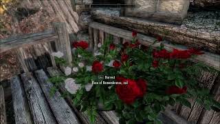 Secret Springs Cabin  Skyrim Special EditionAE Player Home [upl. by Bullion781]