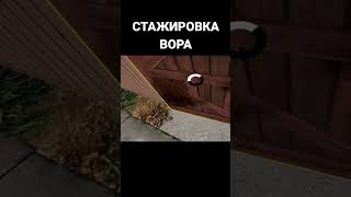 Взлом shorts vr приколы [upl. by Burtis]