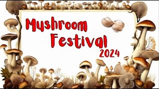 11th Annual National Mushroom Festival 2024  Lahore Organic Village [upl. by Notslah470]