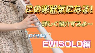 【楽器紹介】EWI SOLOについて詳しく紹介！ewisolo ewi 楽器紹介 [upl. by Hands814]