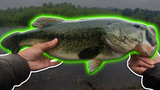 Big Bed Bass At Puddingstone Reservoir  May 2022 [upl. by Carrel]