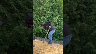 construction roof roofing roofer usa humor contruccion viralvideo roofinglife drywall [upl. by Ahsinnek304]