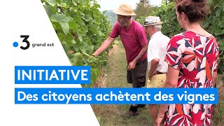 Des particuliers achètent 15 hectares de vignes pour aider un agriculteur à produire du vin naturel [upl. by Cyna212]