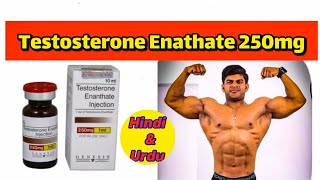 Testosterone Enathate 250mg doses  benefits Side effects Pct  full explained in Hindi amp Urdu [upl. by Elacim579]