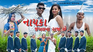 Nayka Jungle Na Raja  Adivashi Song  Vijay Nayka  Trupti Patel  2023 [upl. by Ydnirb]