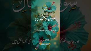 Al Quran Only Urdu Translation 🙏 viralvideo islamic shorts [upl. by Elsilrac378]