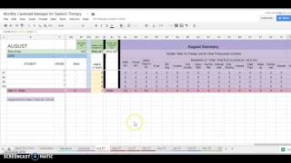 Monthly Caseload Manager for Speech Therapy [upl. by Celestina]
