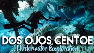 DOS OJOS CENOTE SCUBA DIVING IN TULUM MEXICO [upl. by Nove34]