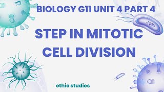 Step in mitotic cell division 🎈biology grade 11 unit 4📍 part 4 [upl. by Noorah]