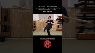 Void Form Bo Staff Variations Fu no Kata shorts ninja samurai martialarts [upl. by Noicnecsa710]