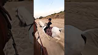 Little boy horse riding viralreels trendingshorts trendboy little horseriding devayatkhavad [upl. by Ecnarret138]