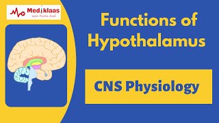 Functions of Hypothalamus  Nerurology  Physiology  Mediklaas [upl. by Aziaf]