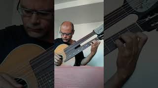 Le Papillon Op50 No13 by Giuliani on 12string harp guitar [upl. by Ax]