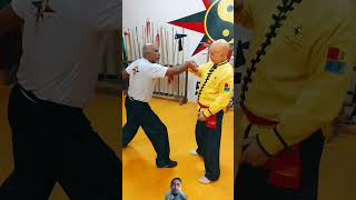 Kung fu selfdefense shorts kungfuwushu martialarts vingtsunkungfu dayvomma kravmaga ytshorts [upl. by Britney]