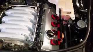 2005 Audi A6 42L V8 Oil Leak locations SOLVED See DescriptionComments [upl. by Leonteen]