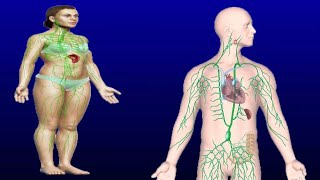 Swollen Lymph Nodes In Chest Causes And Treatment [upl. by Bobbe]