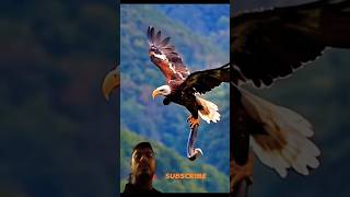 shorts eagles birds animals attitude cute funny cutebaby video comedyvideos motivation t [upl. by Domonic]