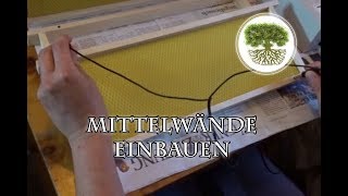 DIY  Bienenstock  Mittelwände einbauen [upl. by Byrdie969]