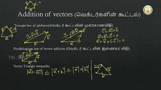 Maths  Vector AlgebraPart 1  Week3  AIISH NFAT NIEPMD [upl. by Fisken955]