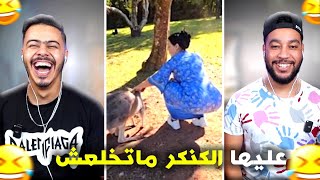 هادشي خرج على السيطرة 🫨 هادي مالها 🤣 [upl. by Auqinat]