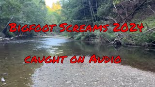 20 Minutes of Actual Bigfoot Audio Captured in Indiana 2024 [upl. by Faden]