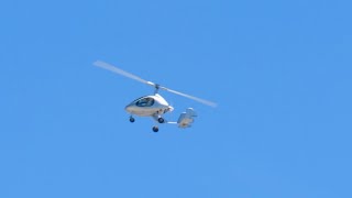 Incredible Airplane Spotting at Van Nuys Airport featuring a gyrocopter [upl. by Nallac]