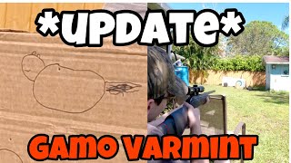 Gamo Varmint Air Rifle UPDATE [upl. by Devi]