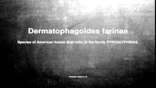 Medical vocabulary What does Dermatophagoides farinae mean [upl. by Sass]