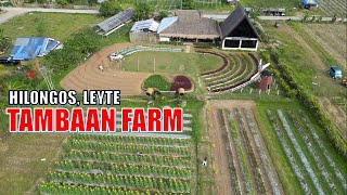 EXPLORING TAMBAAN FARM HILONGOS LEYTE PHILIPPINES Lakawan PH [upl. by Philana4]