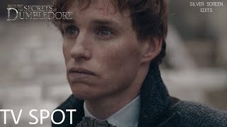 Fantastic Beasts The Secrets of Dumbledore  World  TV Spot [upl. by Berfield]