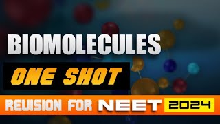 RAPID REVISION ON BIOMOLECULES  NEET 2024 [upl. by Dill]