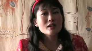 quotFestival in Tianshan Mtnquot Played by Evelyn Tang on the Yangqin Chinese Dulcimer [upl. by Irelav]