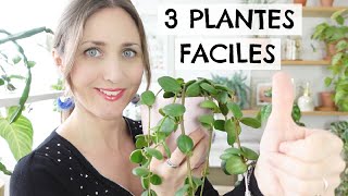 🪴 3 plantes faciles à entretenir pour les débutants et les plantaddicts confirmés 😉 🌿🌿 [upl. by Susejedesoj]