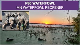 ReOuverture au Gibier dEau  MN USA Sept 2024  MN Waterfowl ReOpener [upl. by Wheaton]