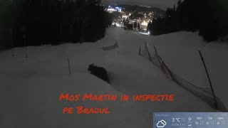 Ursul in inspectie pe partia Bradul din Poiana Brasov [upl. by Ojillib]