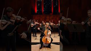 Haydn’s virtuosic cello concerto ❤️ classicalmusic [upl. by Armahs789]