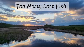 Too Many Lost Fish [upl. by Frieder]