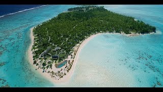 Beautiful private island of Tetiaroa  The Brando Tetiaroa French Polynesia [upl. by Lybis]