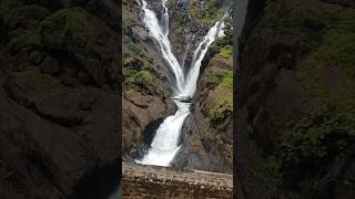 Dudhsagar waterfalls Goa youtubeshorts viralreels trending travel music [upl. by Ybbil]